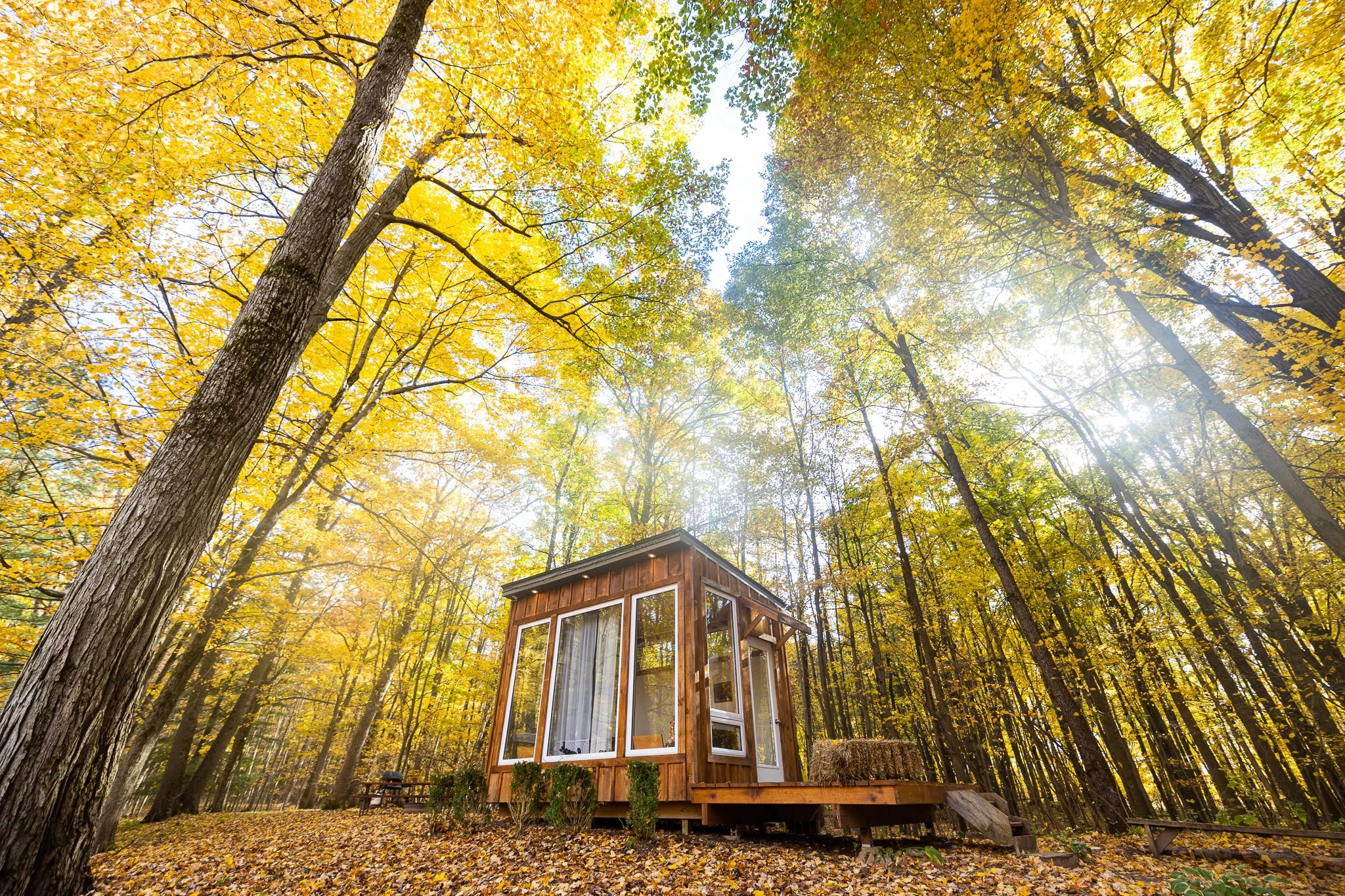 Fernwood Hills glamping space