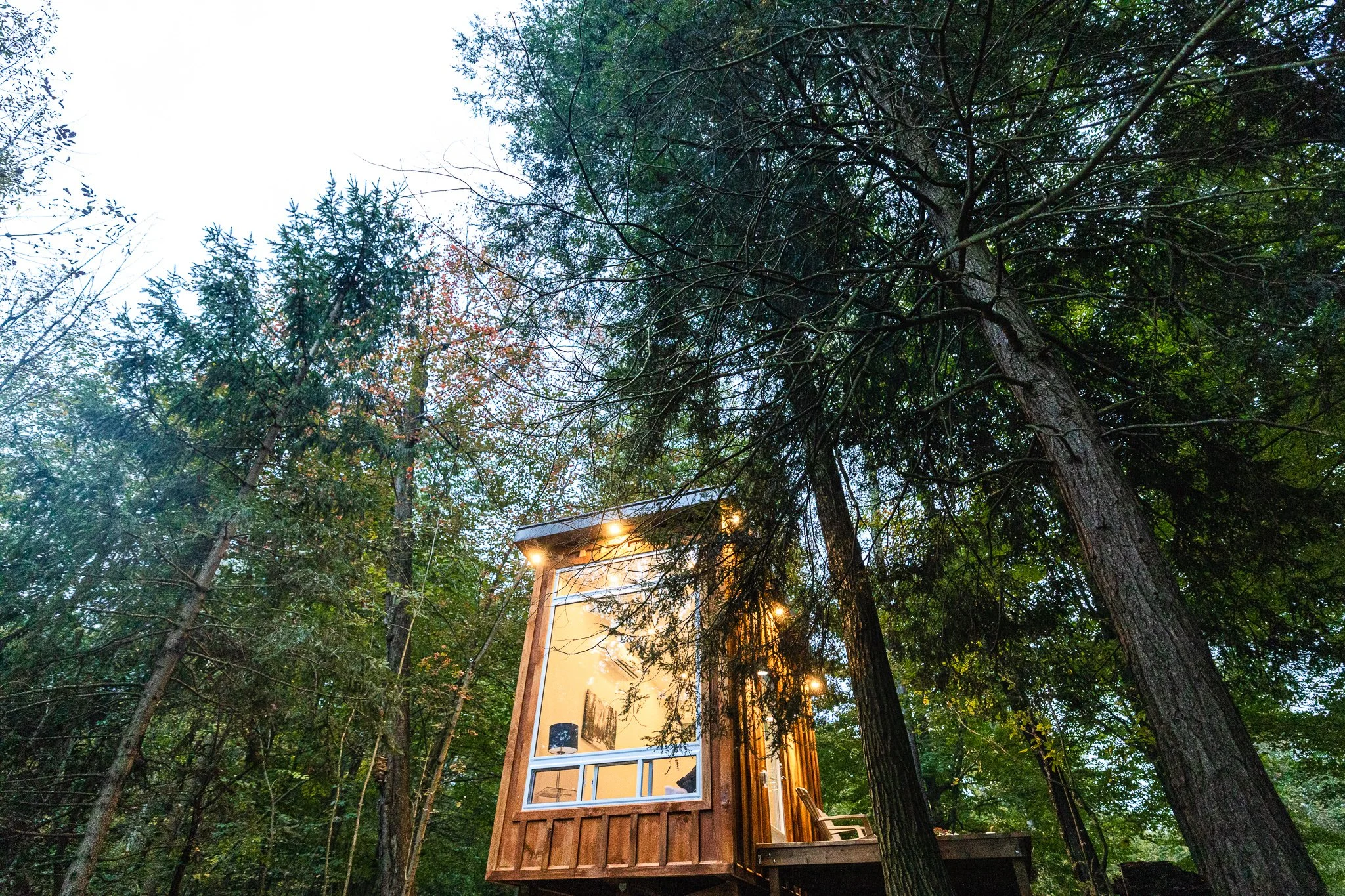 Fernwood Hills glamping cabin